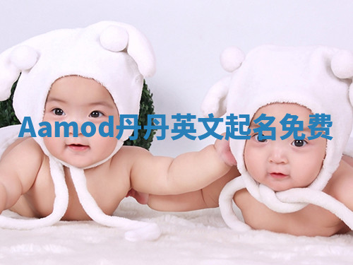Aamod丹丹英文起名免费