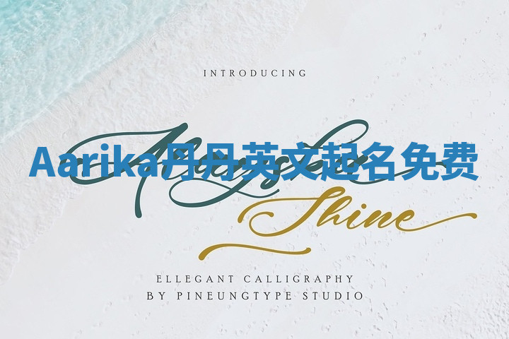 Aarika丹丹英文起名免费