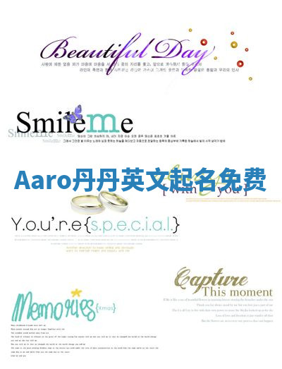 Aaro丹丹英文起名免费