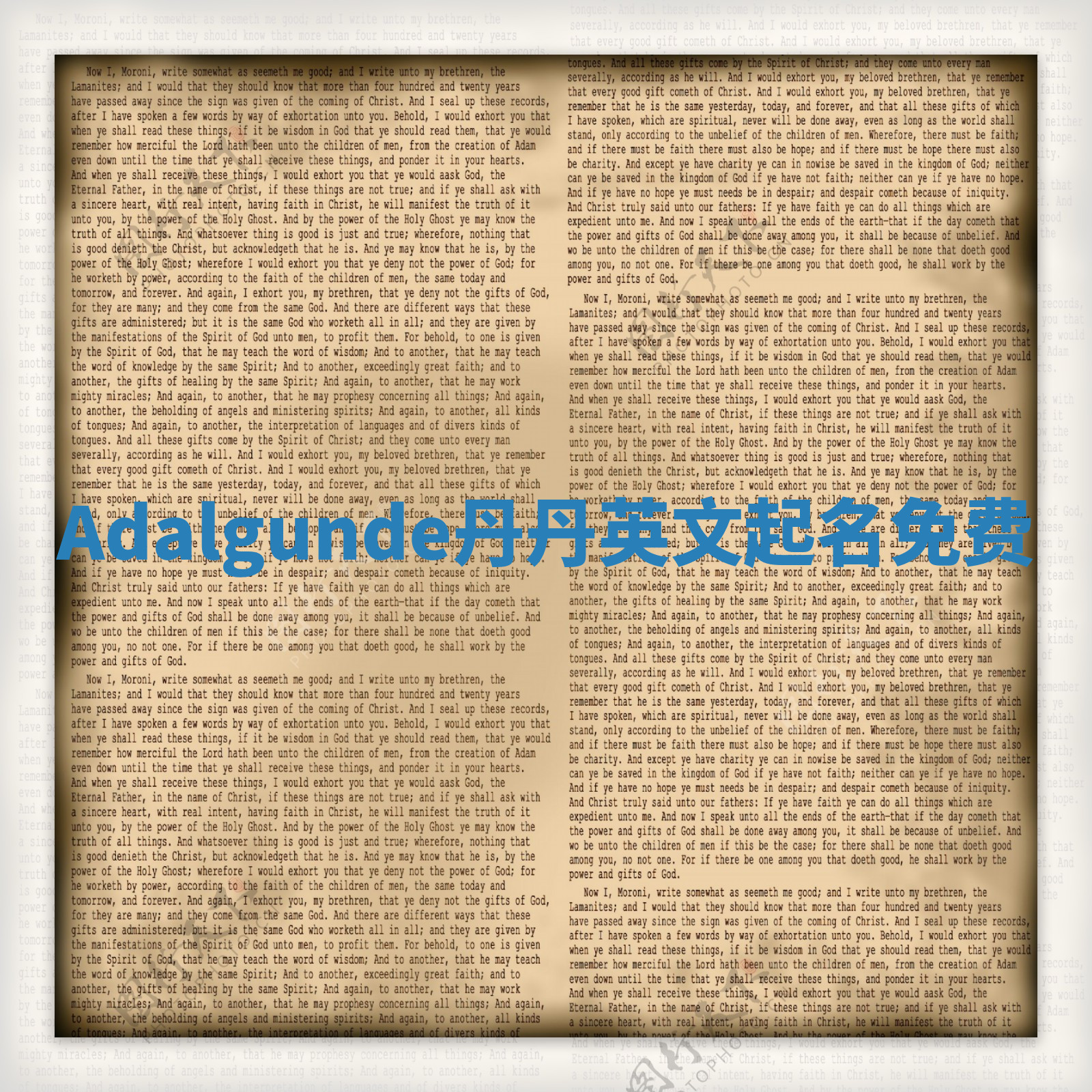 Adalgunde丹丹英文起名免费