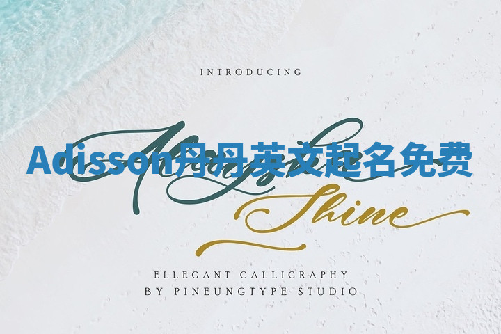 Adisson丹丹英文起名免费