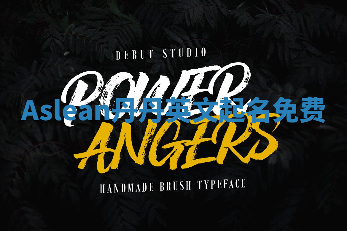 Aslean丹丹英文起名免费 Aslean丹丹英文起名免费