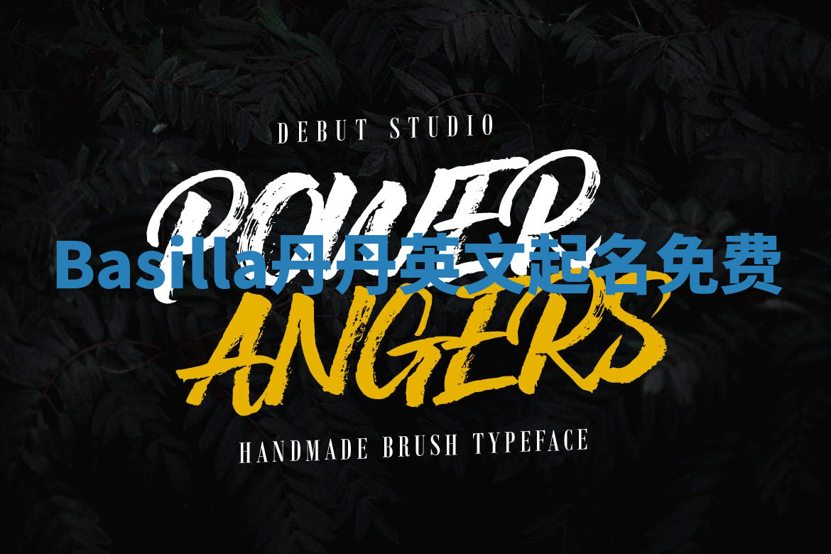 Basilla丹丹英文起名免费 Basilla丹丹英文起名免费