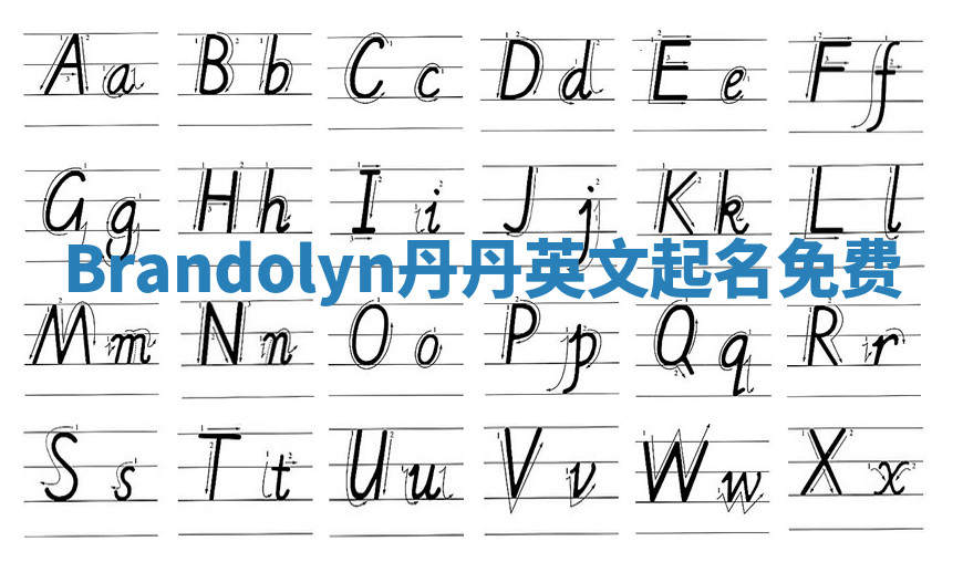Brandolyn丹丹英文起名免费