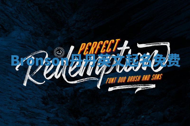 Bronson丹丹英文起名免费