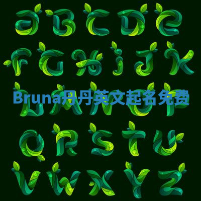 Bruna丹丹英文起名免费