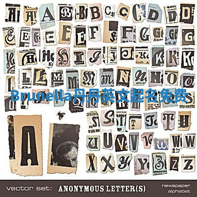 Brunella丹丹英文起名免费