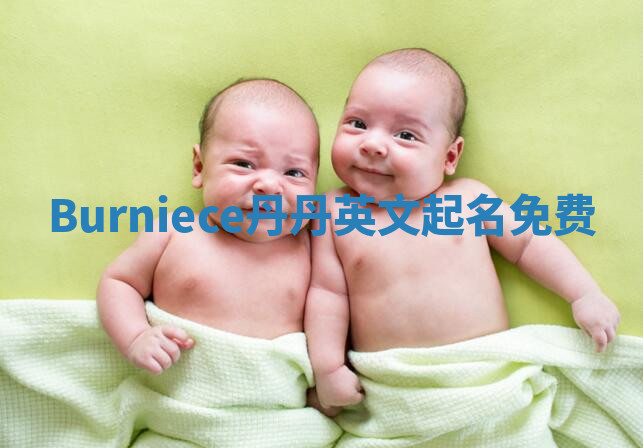 Burniece丹丹英文起名免费