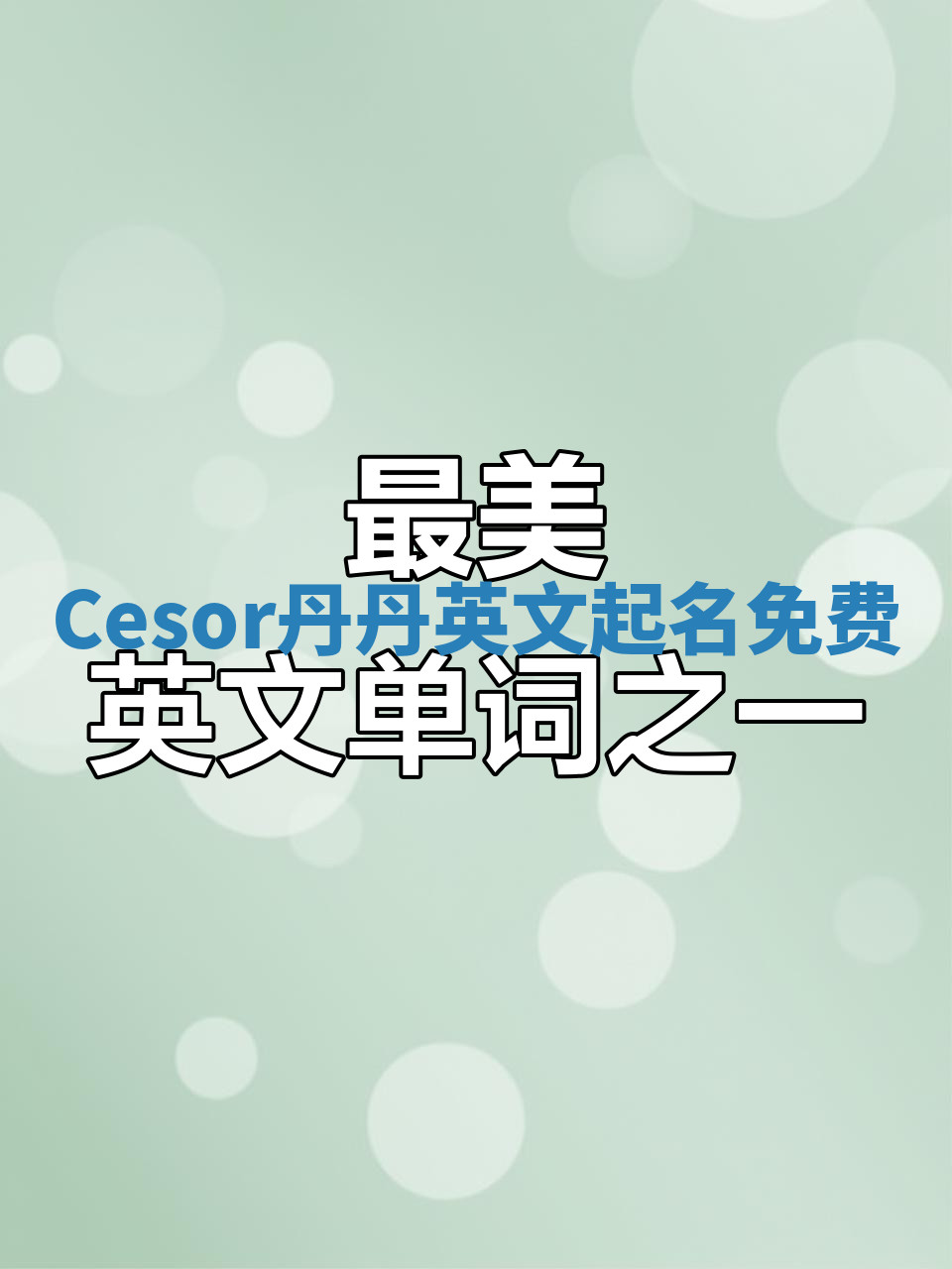 Cesor丹丹英文起名免费