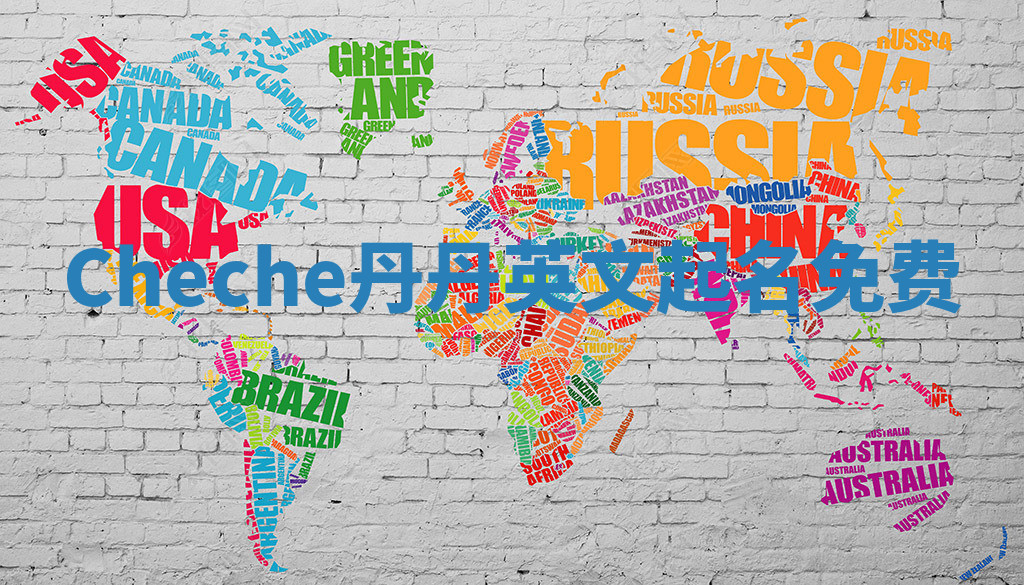 Cheche丹丹英文起名免费