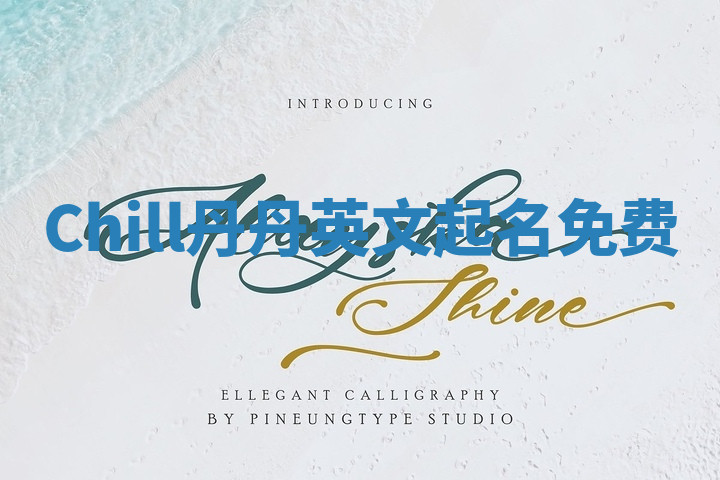 Chill丹丹英文起名免费