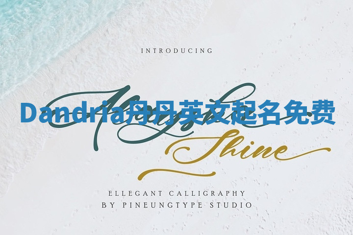 Dandria丹丹英文起名免费