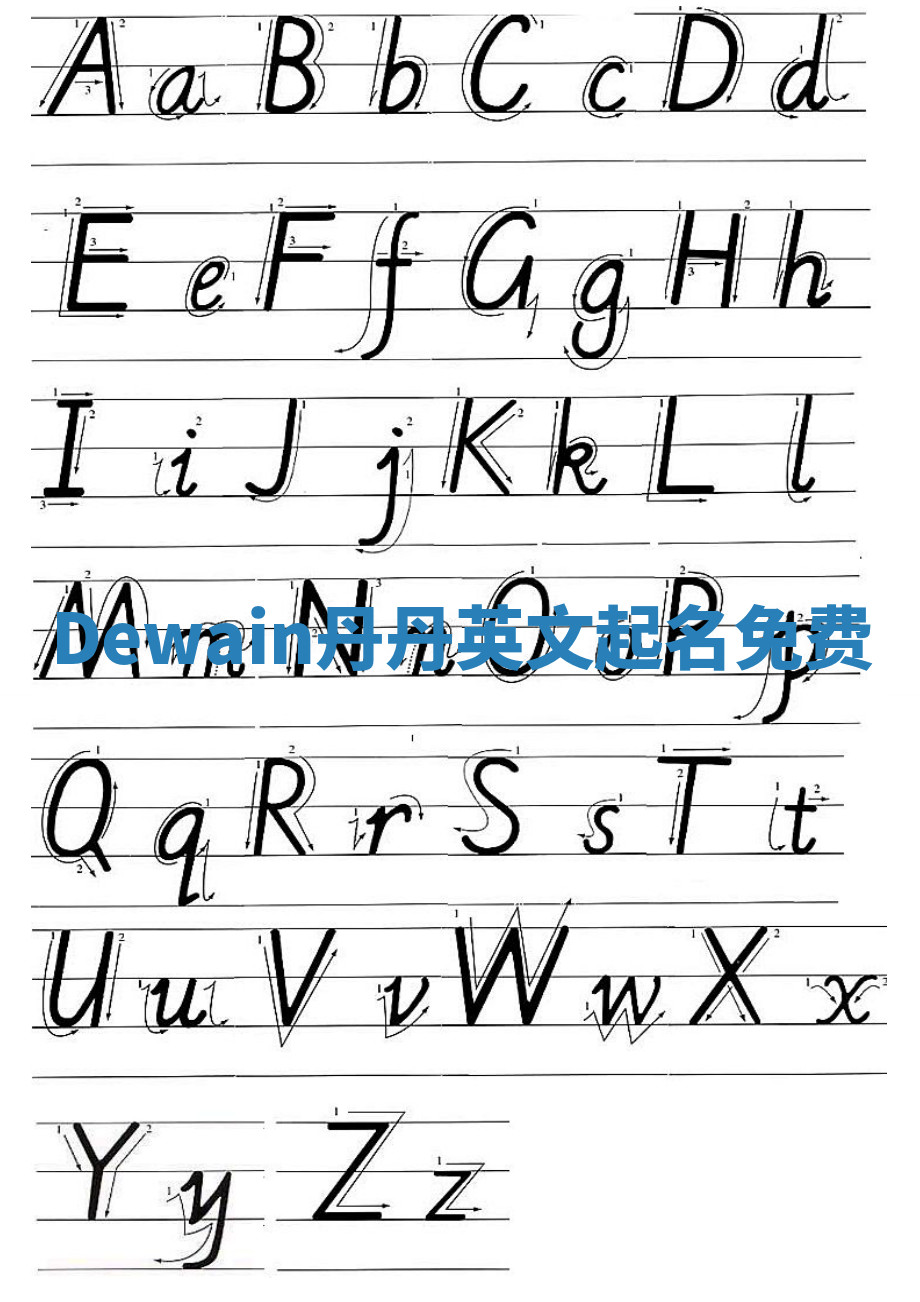 Dewain丹丹英文起名免费