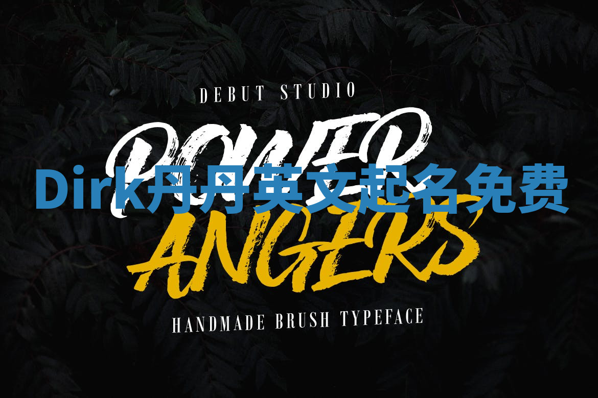 Dirk丹丹英文起名免费