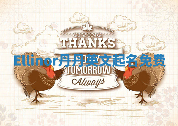 Ellinor丹丹英文起名免费