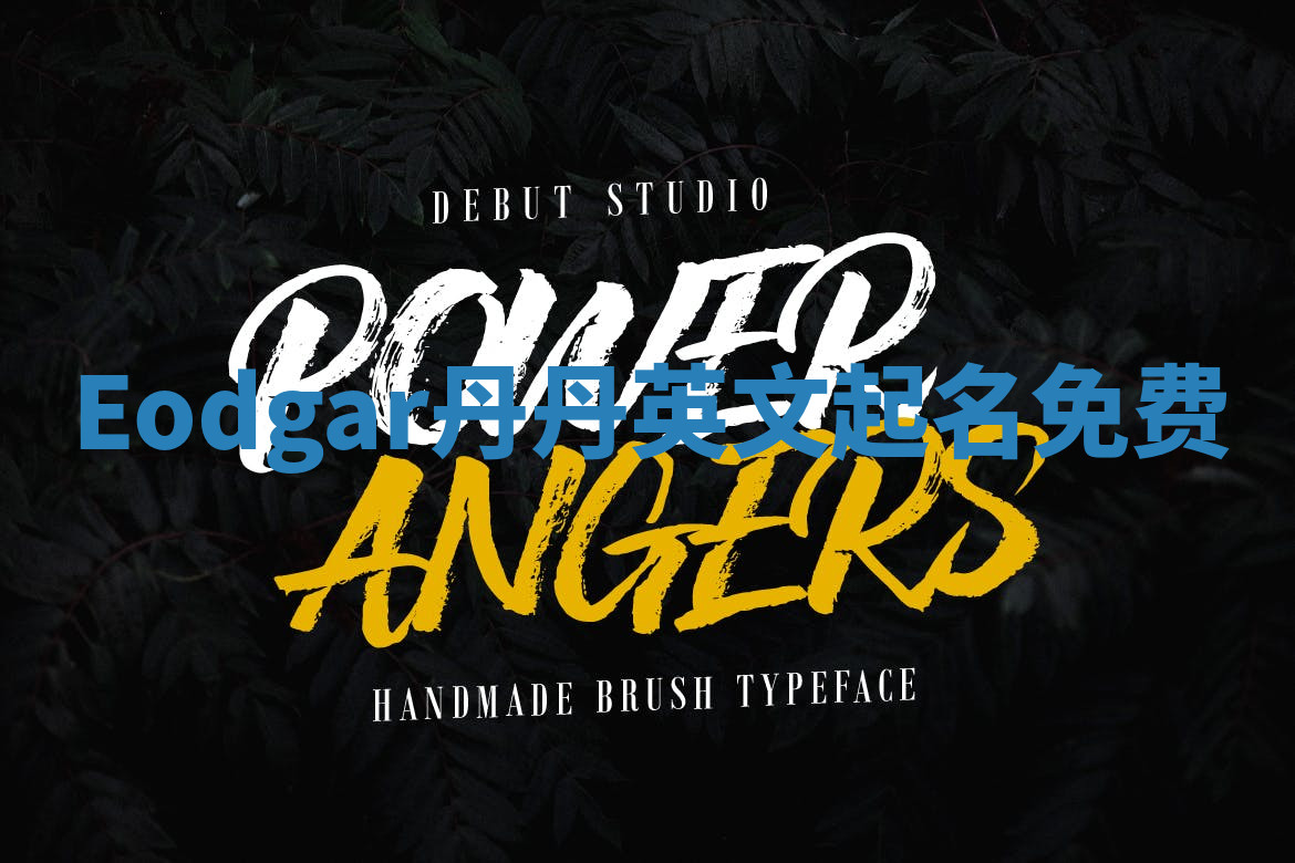 Eodgar丹丹英文起名免费
