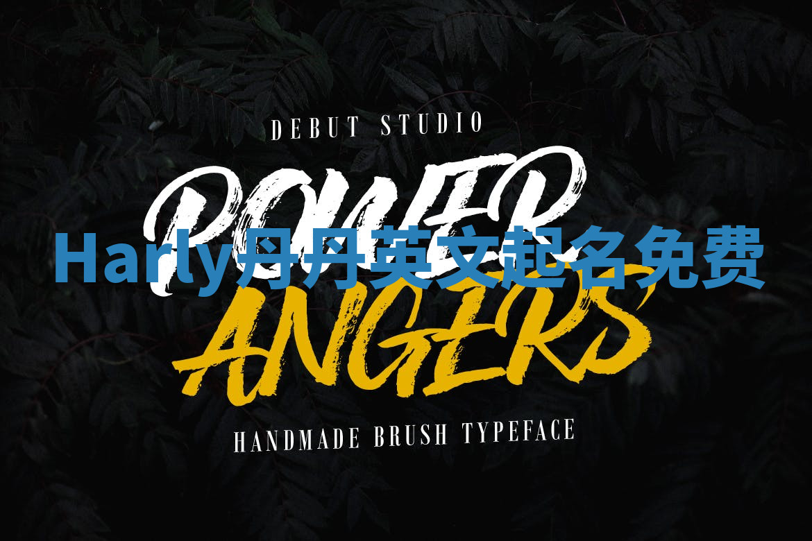 Harly丹丹英文起名免费