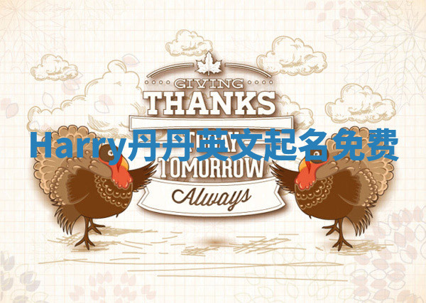 Harry丹丹英文起名免费