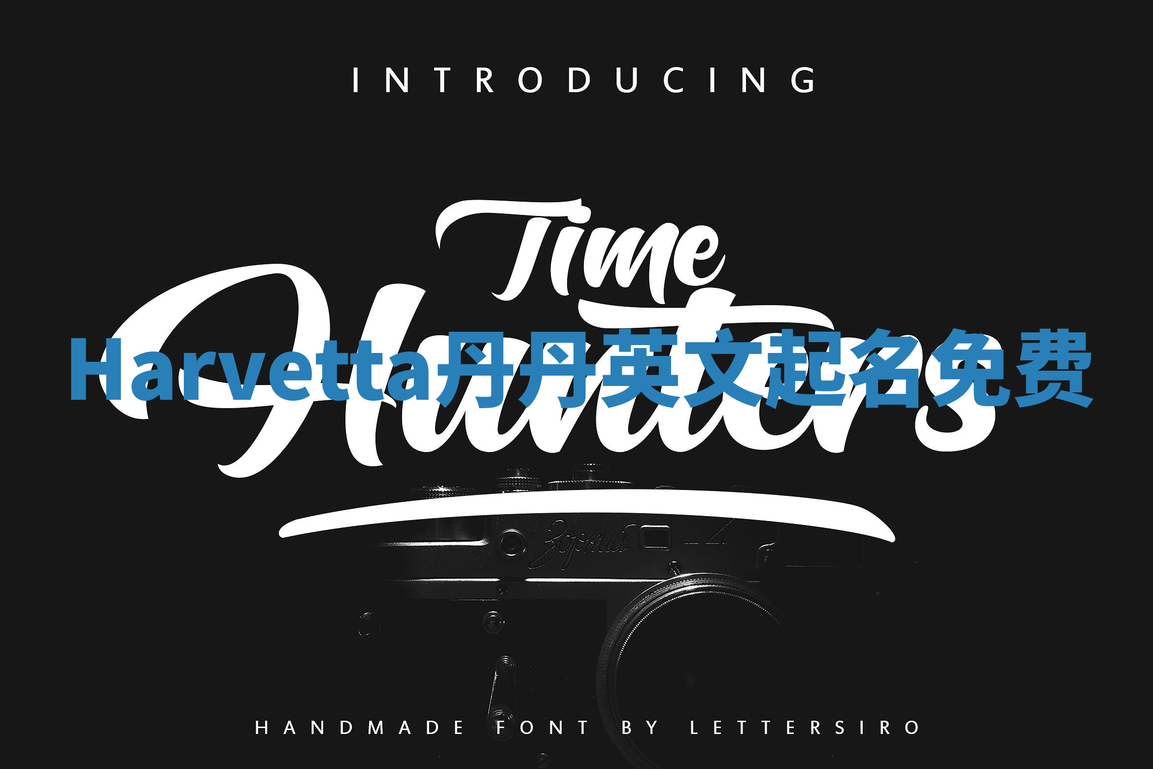 Harvetta丹丹英文起名免费 Harvetta丹丹英文起名免费