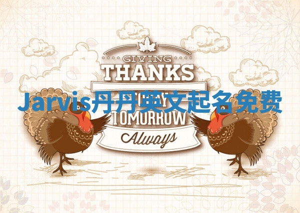 Jarvis丹丹英文起名免费