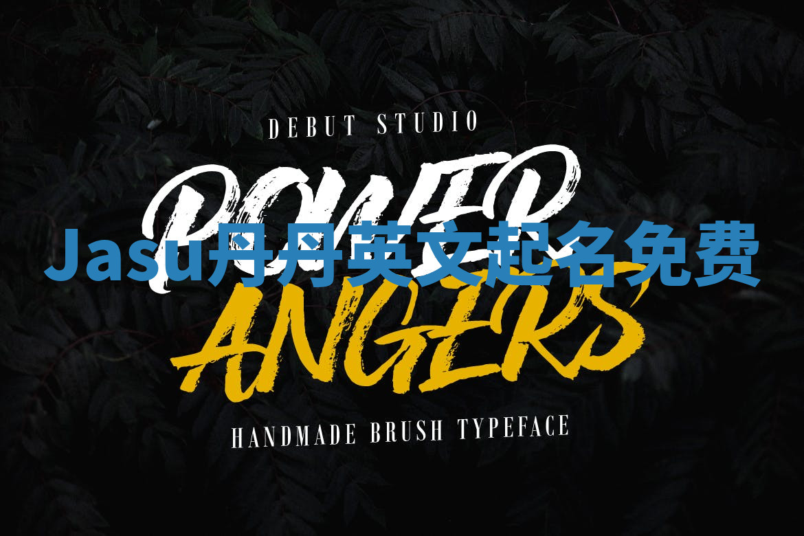 Jasu丹丹英文起名免费