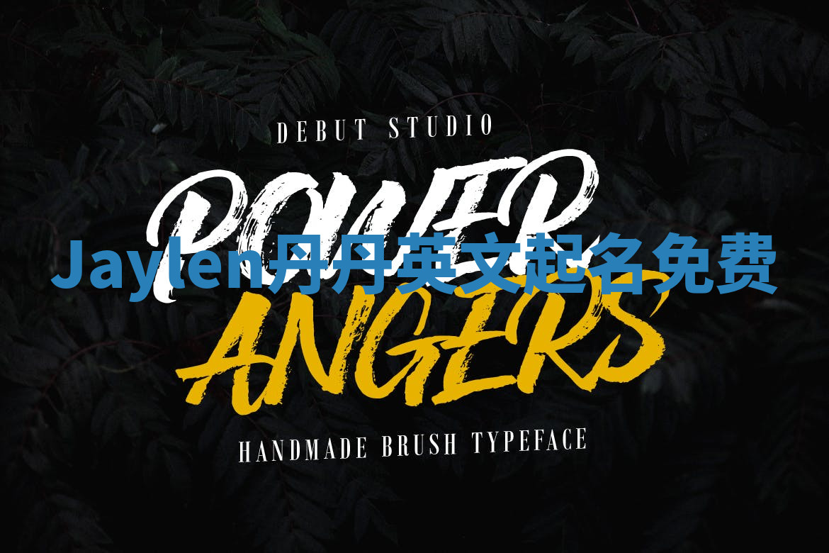 Jaylen丹丹英文起名免费