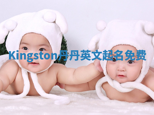 Kingston丹丹英文起名免费