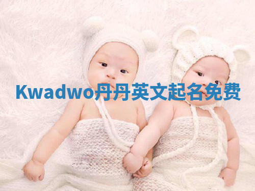 Kwadwo丹丹英文起名免费