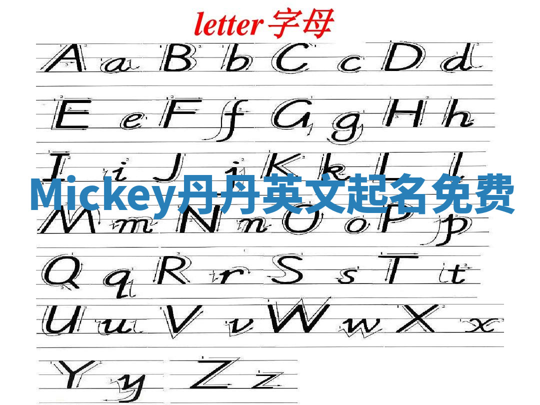 Mickey丹丹英文起名免费