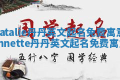 Natalie丹丹英文起名免费寓意_lynnette丹丹英文起名免费寓意