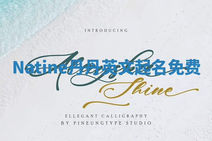 Natine丹丹英文起名免费