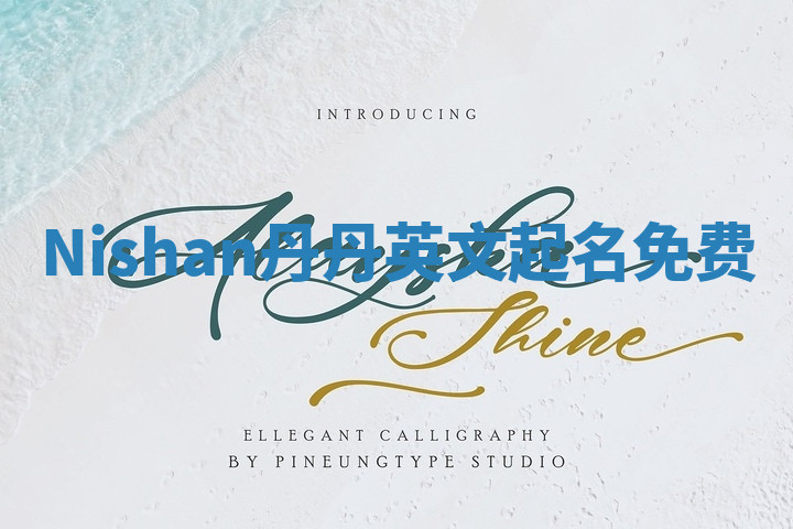 Nishan丹丹英文起名免费