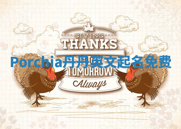 Porchia丹丹英文起名免费