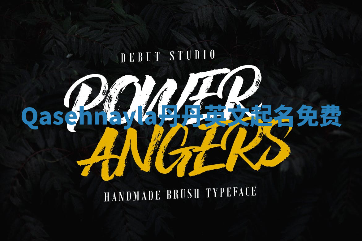 Qasehnayla丹丹英文起名免费