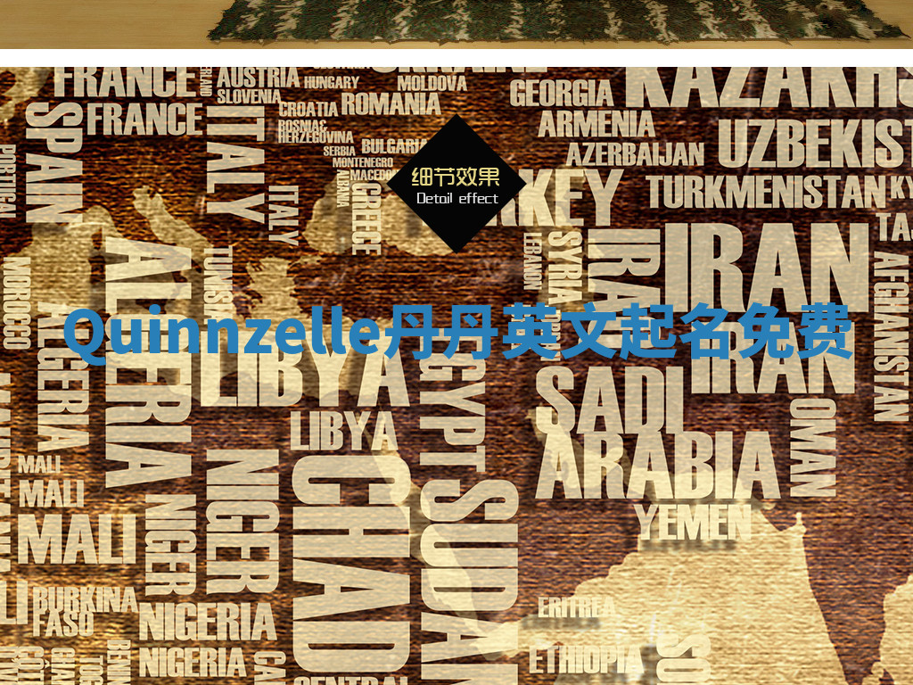 Quinnzelle丹丹英文起名免费