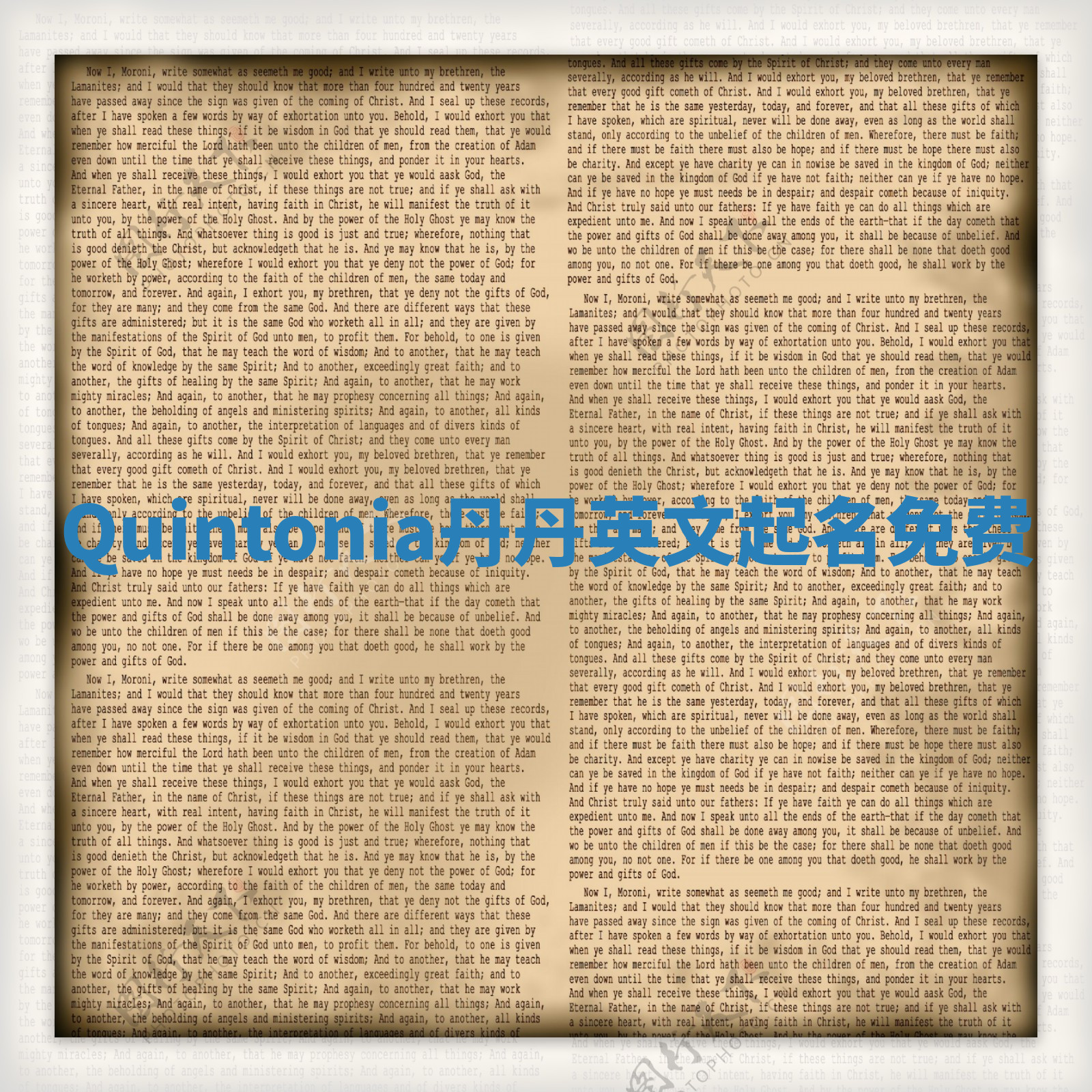 Quintonia丹丹英文起名免费