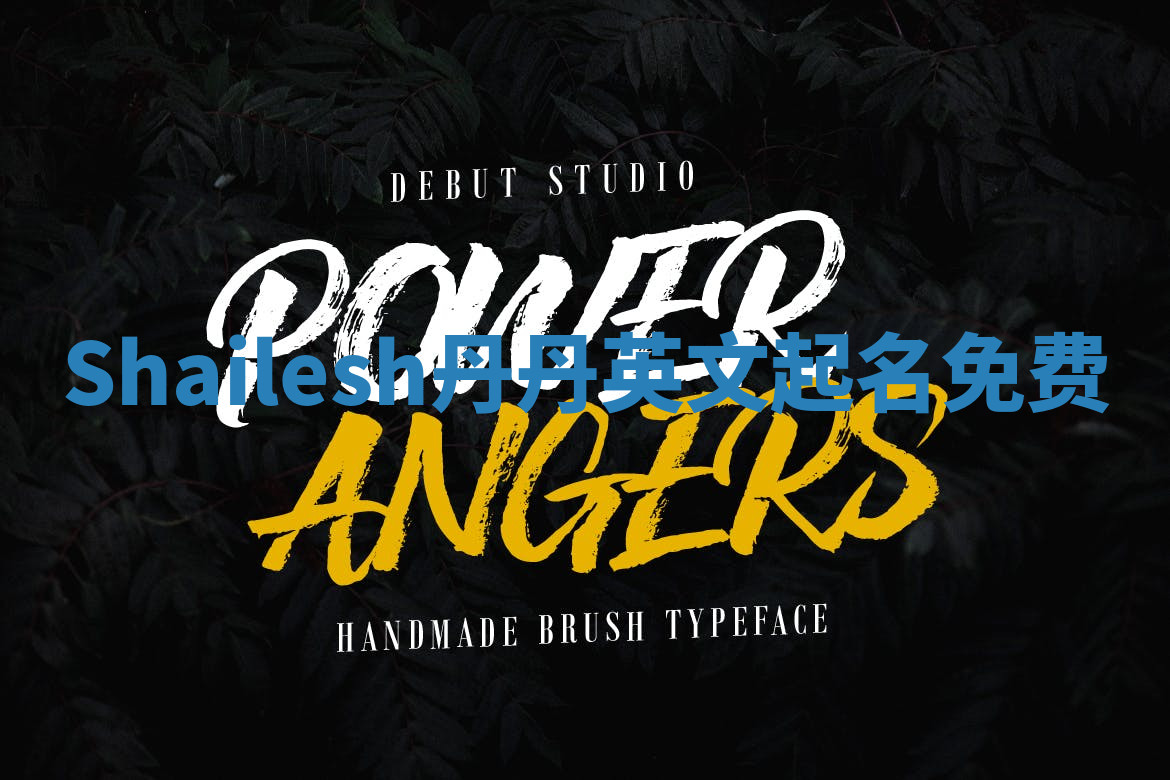 Shailesh丹丹英文起名免费