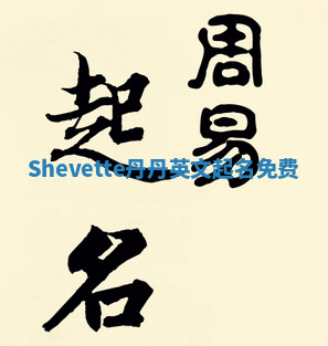 Shevette丹丹英文起名免费