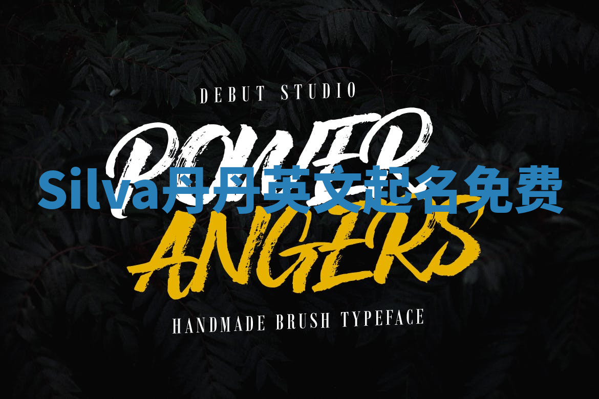 Silva丹丹英文起名免费