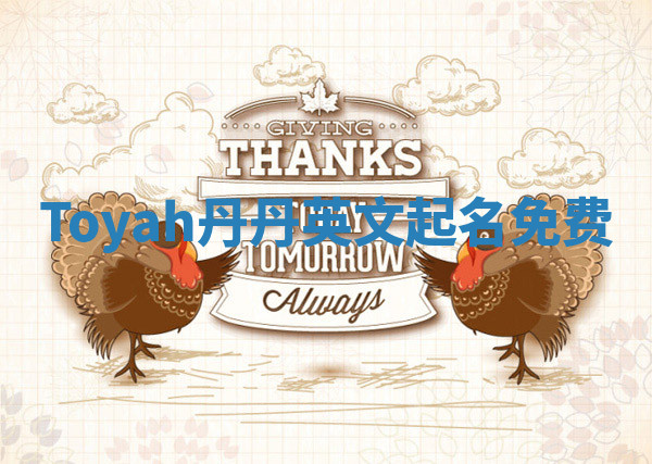 Toyah丹丹英文起名免费