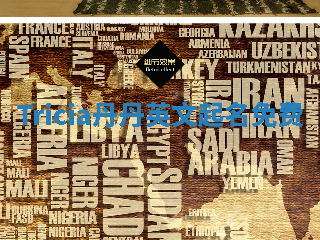 Tricia丹丹英文起名免费 Tricia丹丹英文起名免费