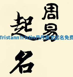 TristannTristin丹丹英文起名免费