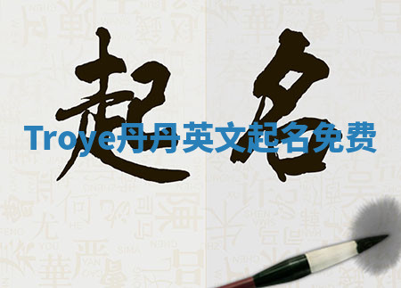 Troye丹丹英文起名免费 Troye丹丹英文起名免费