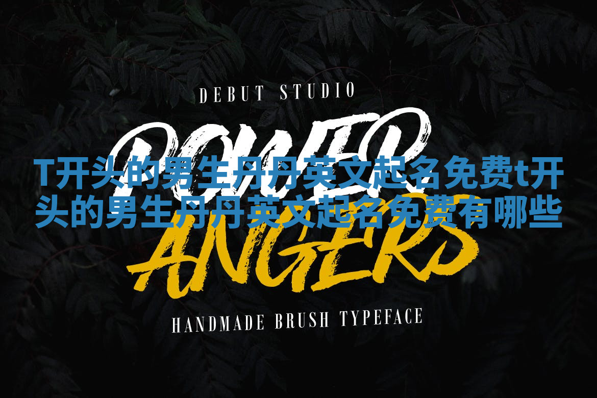 T开头的男生丹丹英文起名免费_t开头的男生丹丹英文起名免费有哪些