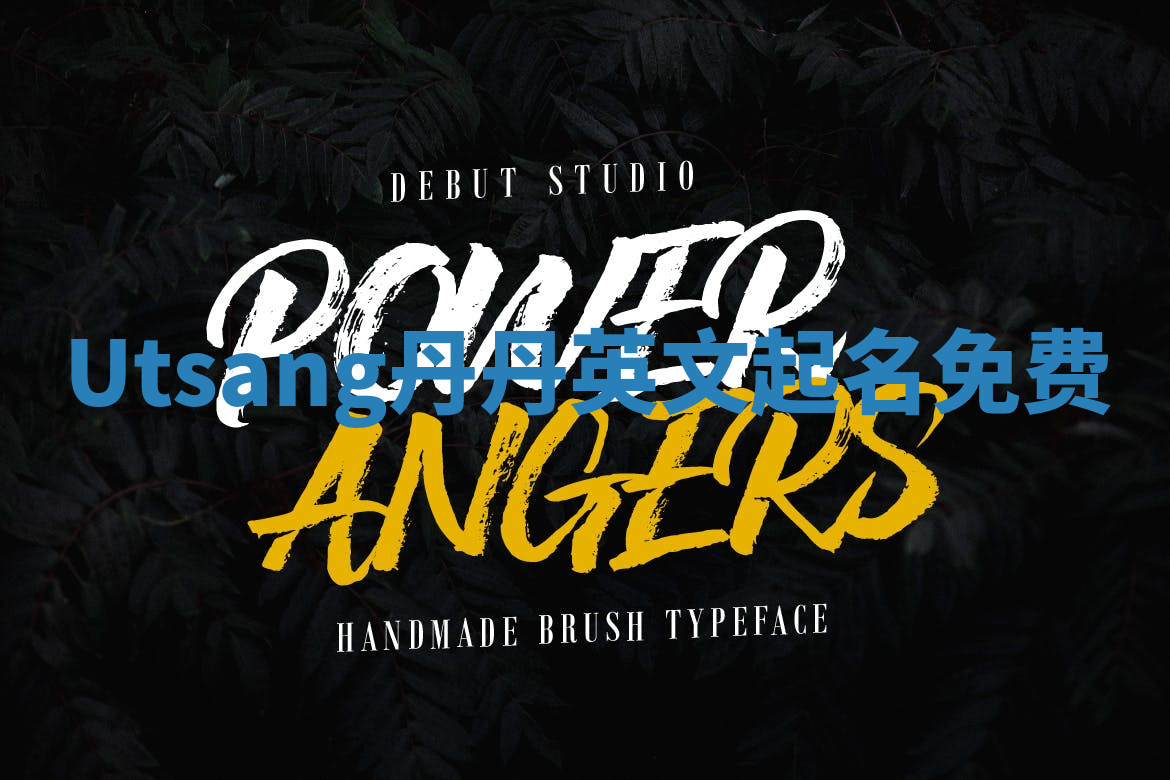 Utsang丹丹英文起名免费
