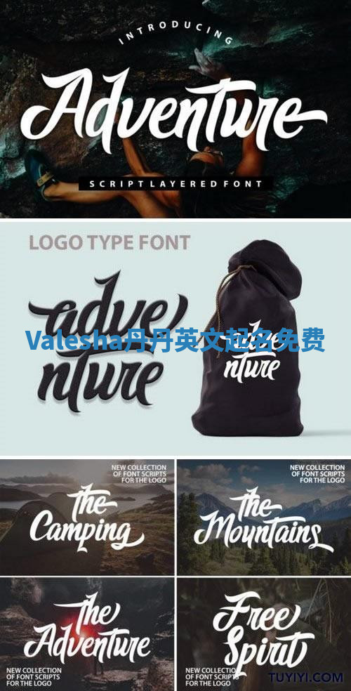 Valesha丹丹英文起名免费