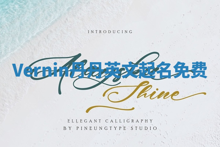 Vernin丹丹英文起名免费 Vernin丹丹英文起名免费