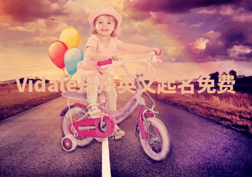 Vidale丹丹英文起名免费