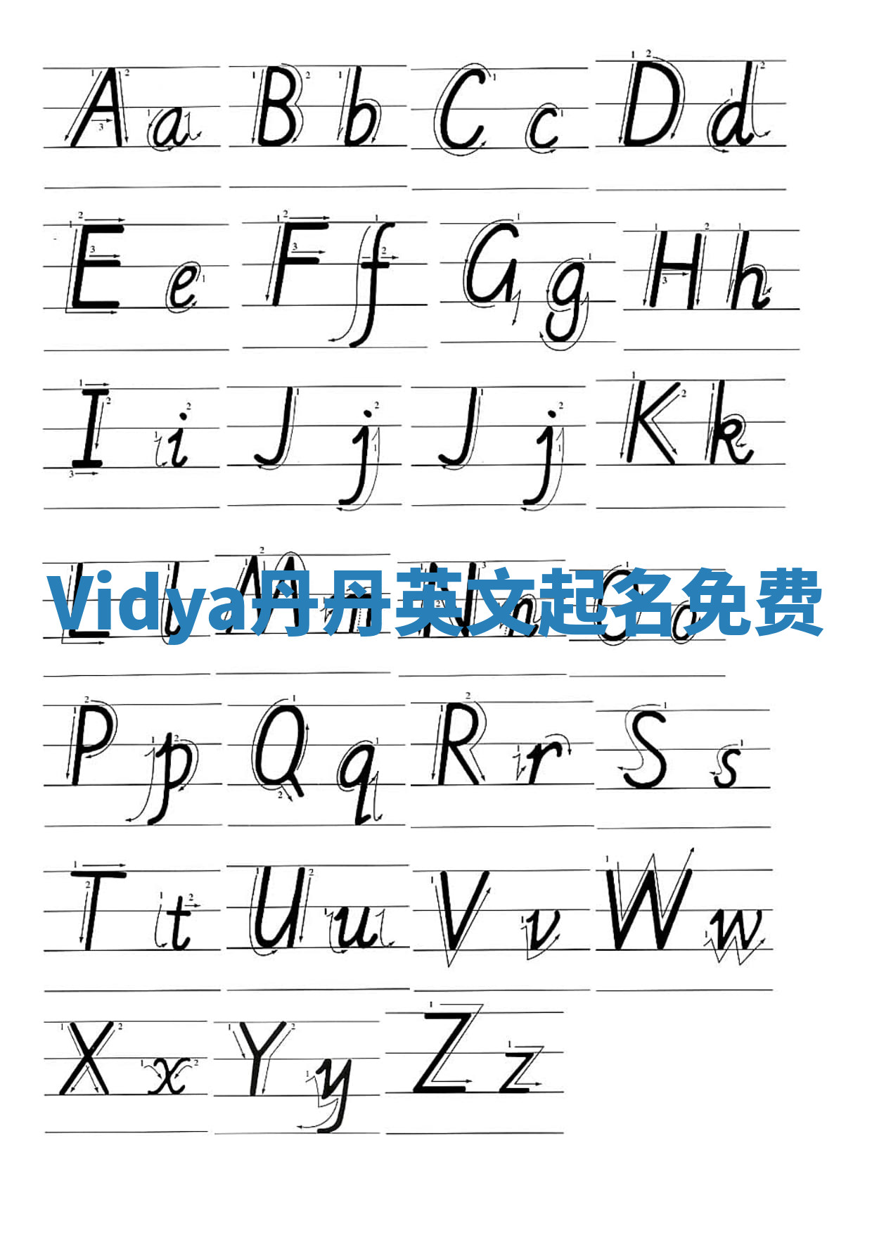 Vidya丹丹英文起名免费 Vidya丹丹英文起名免费