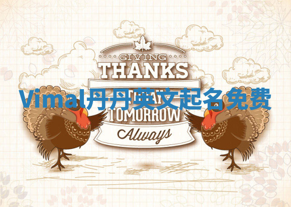 Vimal丹丹英文起名免费